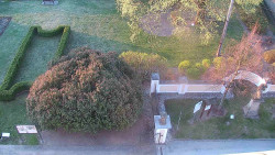 Veselíčko - zahrada u zámku