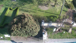 Veselíčko - zahrada u zámku