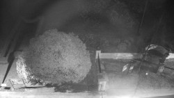 Veselíčko - zahrada u zámku