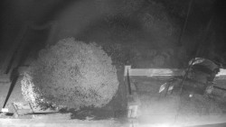 Veselíčko - zahrada u zámku