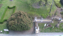 Veselíčko - zahrada u zámku