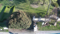 Veselíčko - zahrada u zámku