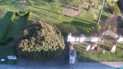 Veselíčko - zahrada u zámku