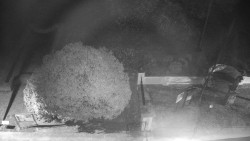 Veselíčko - zahrada u zámku