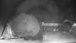 Veselíčko - zahrada u zámku