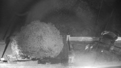 Veselíčko - zahrada u zámku