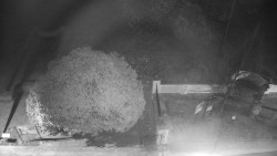 Veselíčko - zahrada u zámku