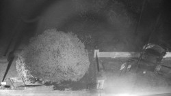 Veselíčko - zahrada u zámku