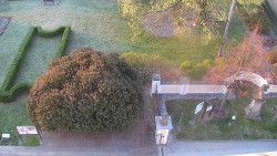 Veselíčko - zahrada u zámku