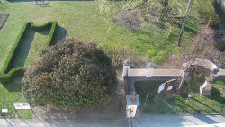 Veselíčko - zahrada u zámku