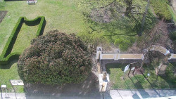 Veselíčko - zahrada u zámku