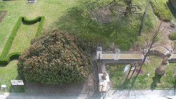 Veselíčko - zahrada u zámku