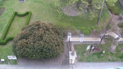 Veselíčko - zahrada u zámku