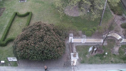 Veselíčko - zahrada u zámku