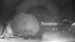 Veselíčko - zahrada u zámku