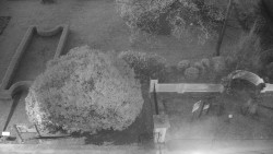 Veselíčko - zahrada u zámku