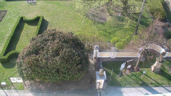 Veselíčko - zahrada u zámku