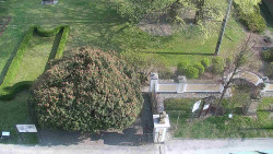 Veselíčko - zahrada u zámku