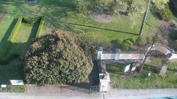 Veselíčko - zahrada u zámku