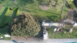 Veselíčko - zahrada u zámku