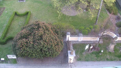 Veselíčko - zahrada u zámku