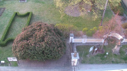 Veselíčko - zahrada u zámku