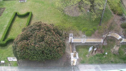 Veselíčko - zahrada u zámku