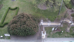 Veselíčko - zahrada u zámku