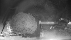 Veselíčko - zahrada u zámku