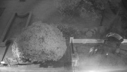 Veselíčko - zahrada u zámku