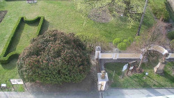 Veselíčko - zahrada u zámku