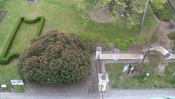 Veselíčko - zahrada u zámku