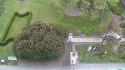 Veselíčko - zahrada u zámku