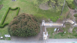 Veselíčko - zahrada u zámku