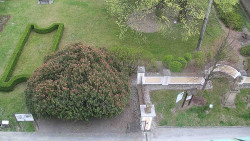 Veselíčko - zahrada u zámku