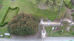 Veselíčko - zahrada u zámku