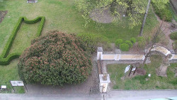 Veselíčko - zahrada u zámku