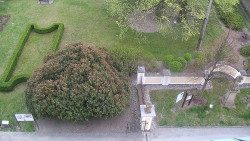 Veselíčko - zahrada u zámku