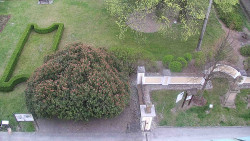 Veselíčko - zahrada u zámku