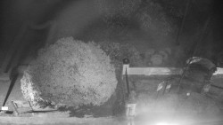 Veselíčko - zahrada u zámku