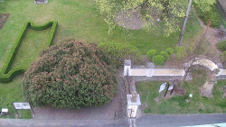 Veselíčko - zahrada u zámku