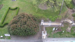 Veselíčko - zahrada u zámku