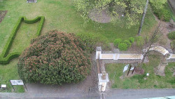 Veselíčko - zahrada u zámku