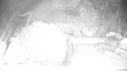 Veselíčko - zahrada u zámku