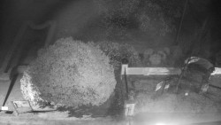 Veselíčko - zahrada u zámku