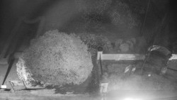 Veselíčko - zahrada u zámku