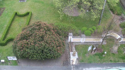 Veselíčko - zahrada u zámku