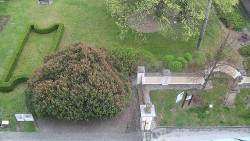 Veselíčko - zahrada u zámku