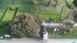 Veselíčko - zahrada u zámku