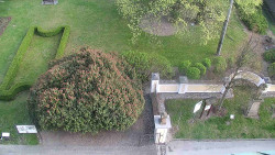 Veselíčko - zahrada u zámku